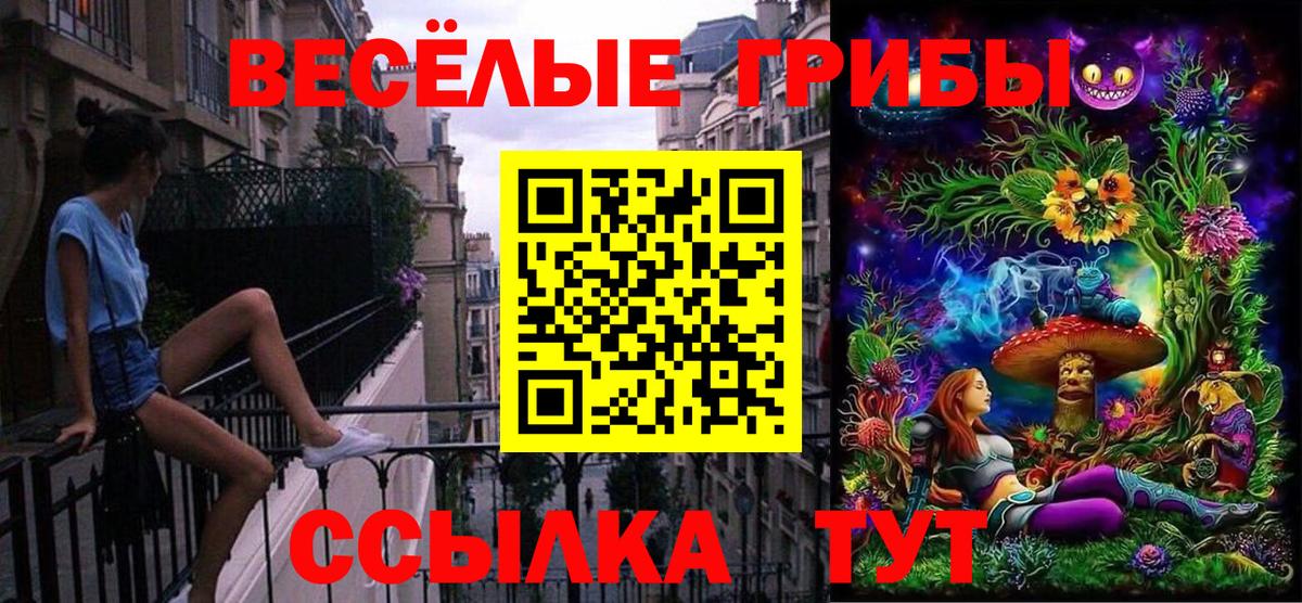 дарнет шоп  Псилоцибиновые грибы MAGIC MUSHROOMS  Вход с VPN  Краснодар 